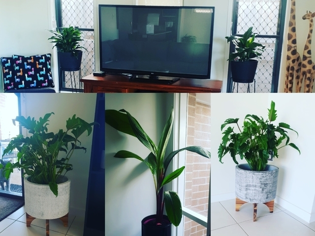 Room to Rent