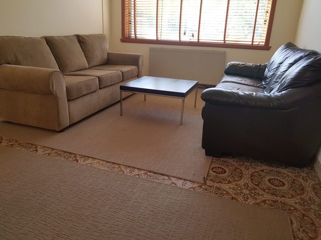 Toasty Room for Rent in Avondale Heights Available Now!