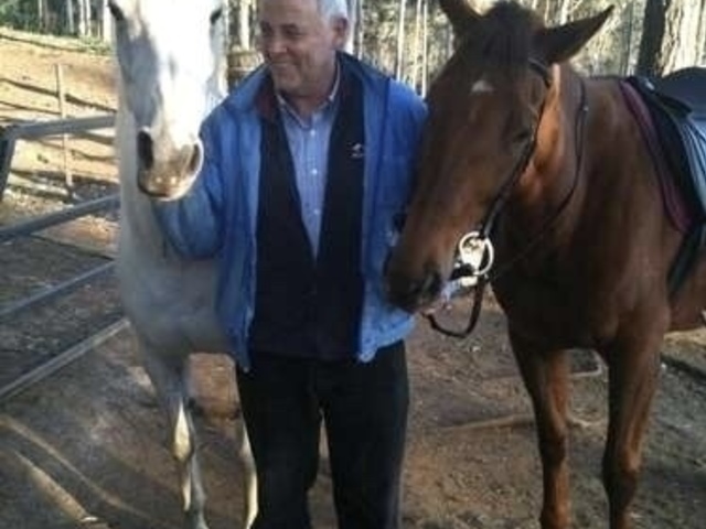 Peter Sands is looking for a room in Brisbane
