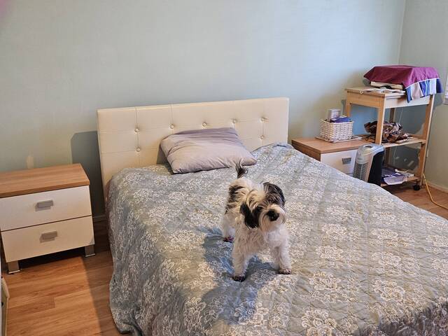 Shared room available in St Clair