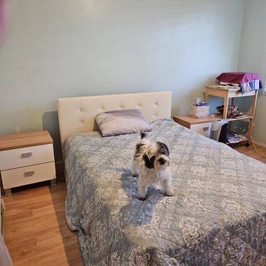 Shared room available in St Clair