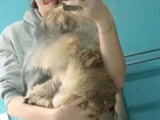 Jade is looking for a room in Perth