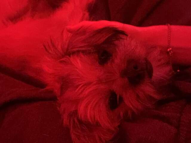 Jade is looking for a room in Perth