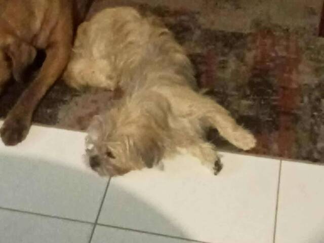 Jade is looking for a room in Perth