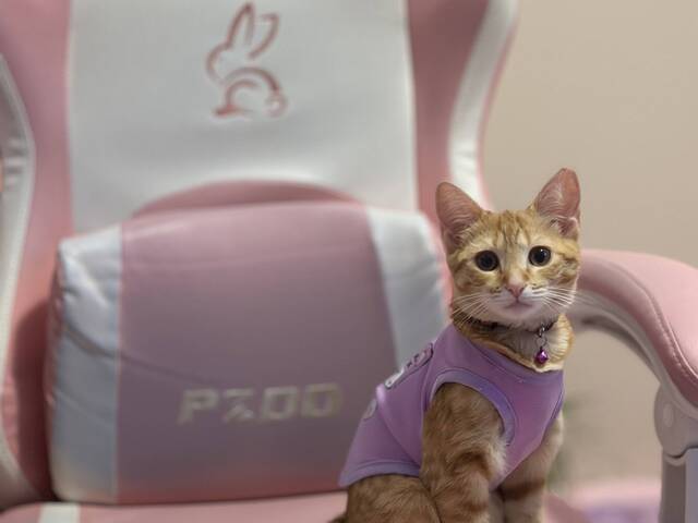Phoebe is looking for a room in Marsden
